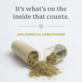 Nature's Sunshine Horsetail 100 Capsules